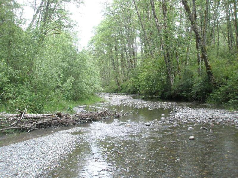 Cavanaugh Side Channel pre-restoration