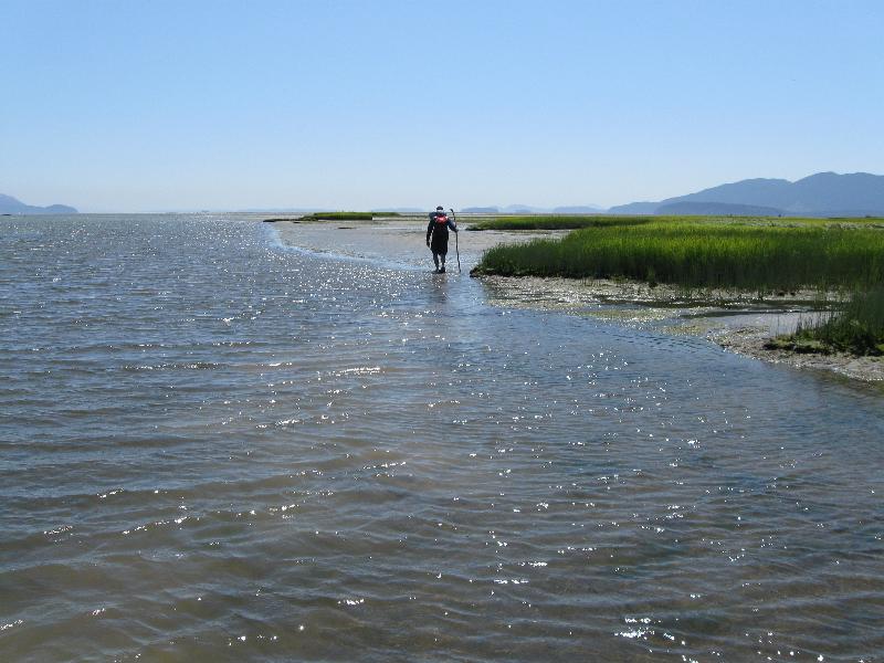 Mitigation Bank - Shore