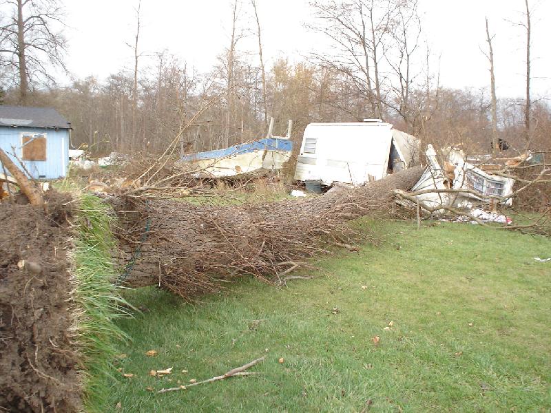 Hazard Mitigation - Wind Storm Damage