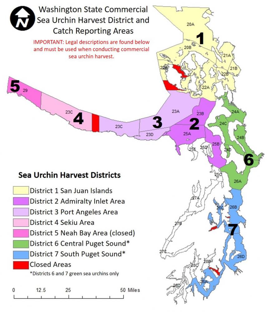 Sea Urchin Harvest Districts