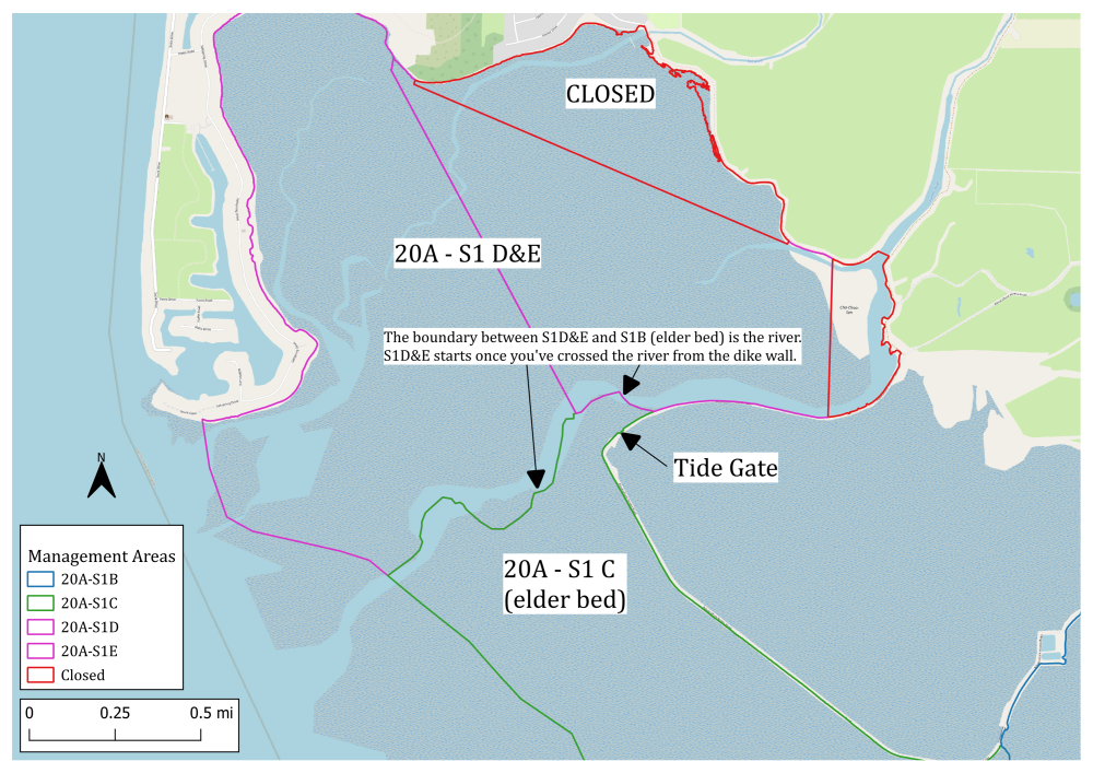 Lummi Bay Elder Bed Boundary (20A - S1C)