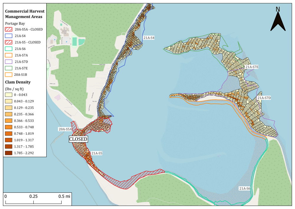 Portage Bay 2024 Manila Clam Density Map