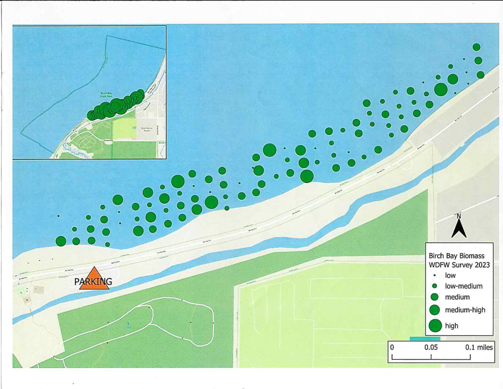 Birch Bay Parking and 2023 Biomass