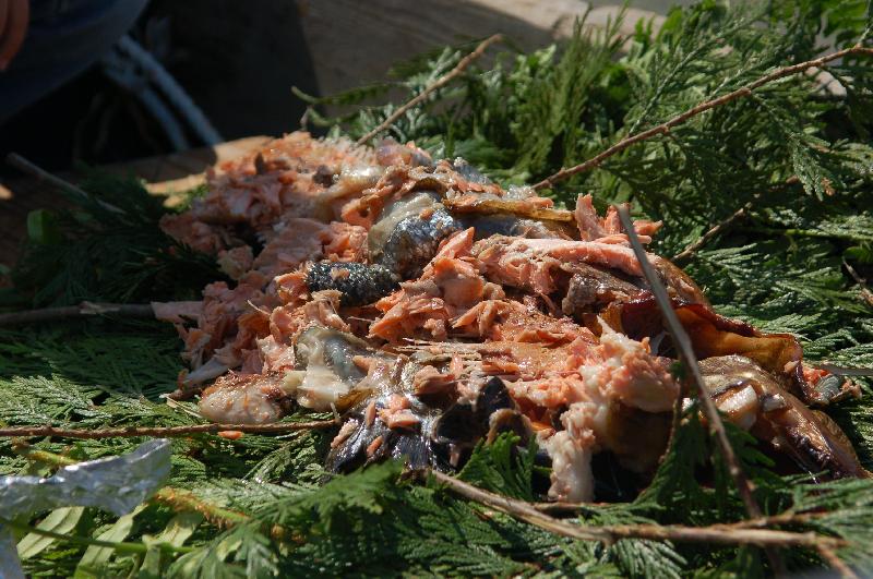 The remains of the First Salmon are gathered up. The remains of the First Salmon are gathered up.