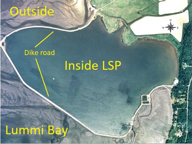 Map of the Lummi Bay Seaponds
