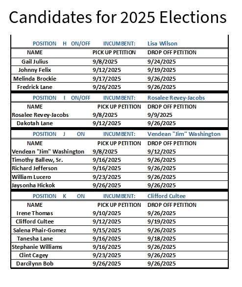 Candidates for 2025 Primary Election
