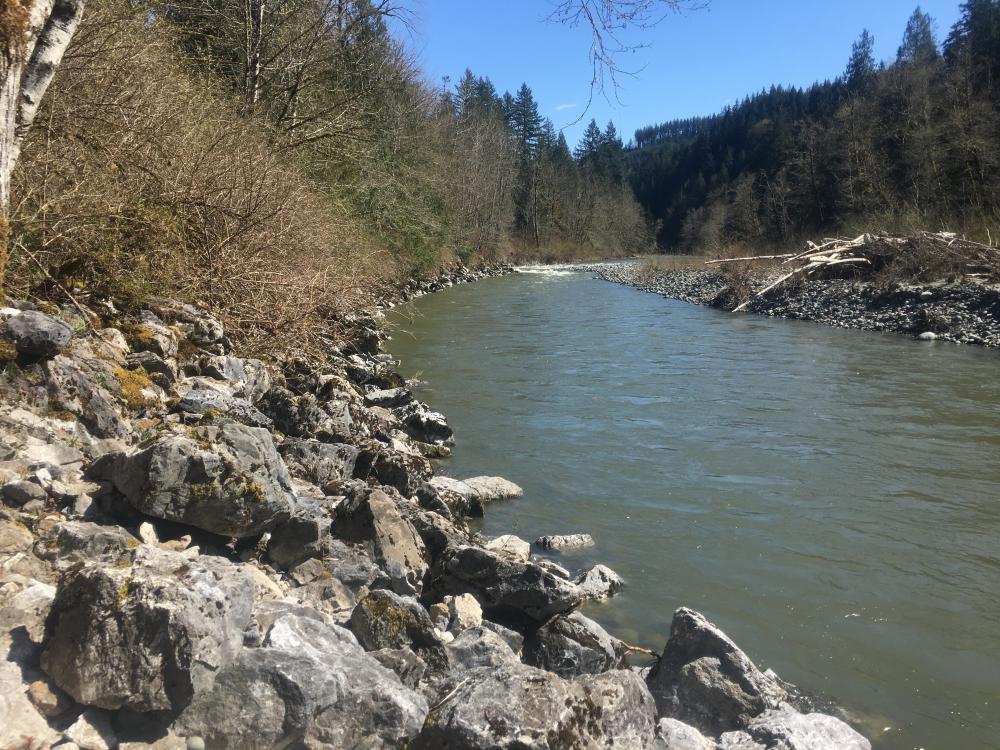 Riprap and homogenous instream habitat, but has excellent floodplain potential